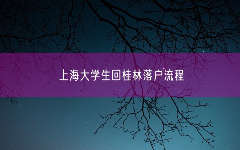 上海大学生回桂林落户流程