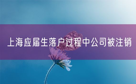 上海应届生落户过程中公司被注销