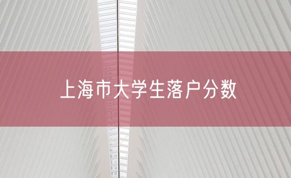 上海市大学生落户分数