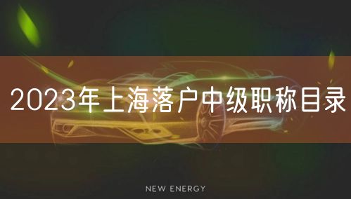 2023年上海落户中级职称目录