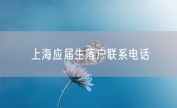 上海应届生落户联系电话