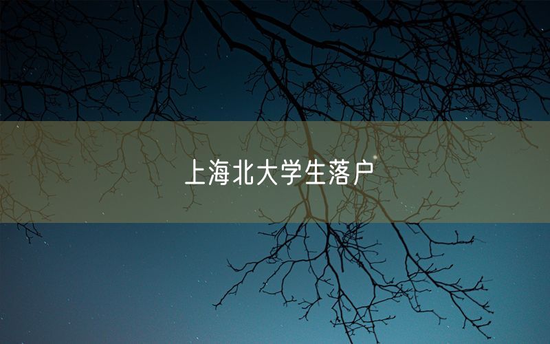 上海北大学生落户