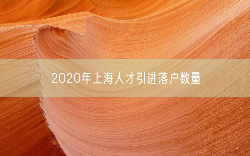 2020年上海人才引进落户数量