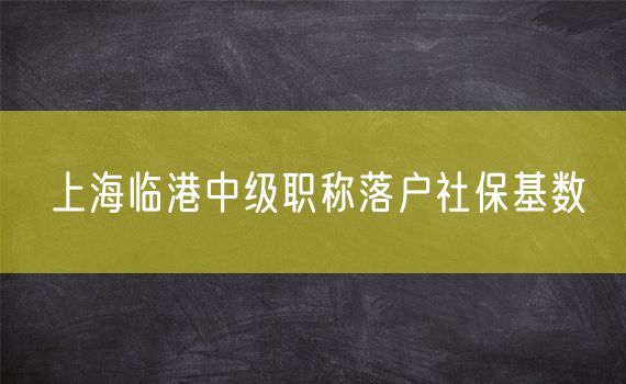 上海临港中级职称落户社保基数