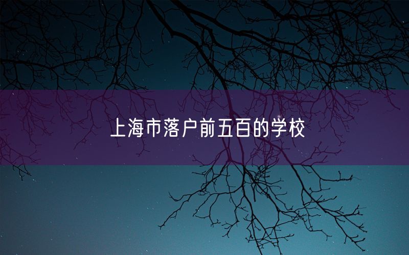 上海市落户前五百的学校