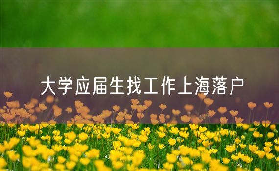 大学应届生找工作上海落户