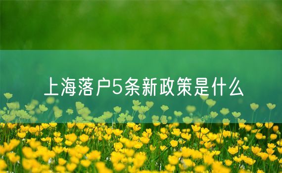 上海落户5条新政策是什么