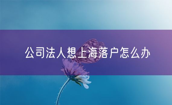 公司法人想上海落户怎么办