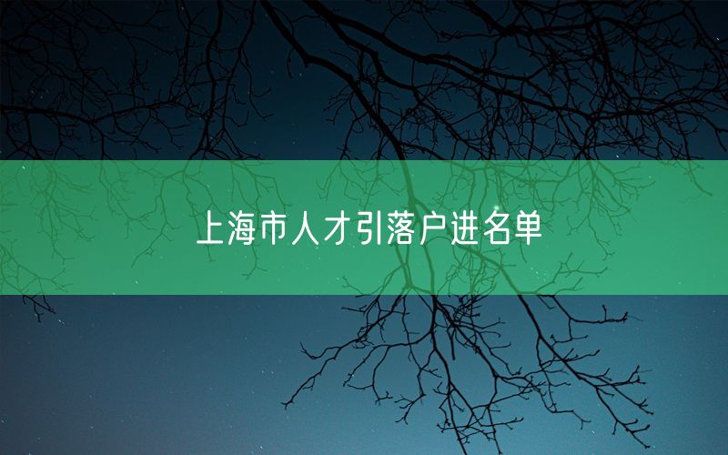 上海市人才引落户进名单