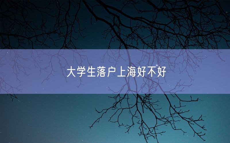 大学生落户上海好不好