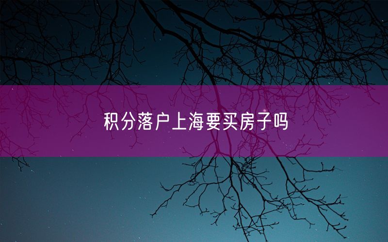 积分落户上海要买房子吗