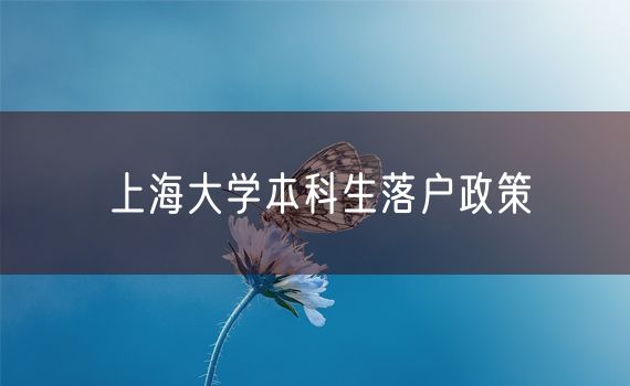 上海大学本科生落户政策