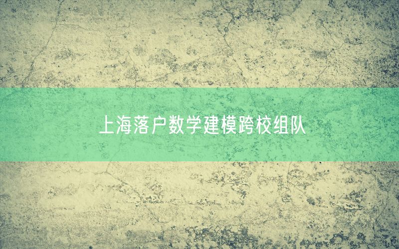 上海落户数学建模跨校组队