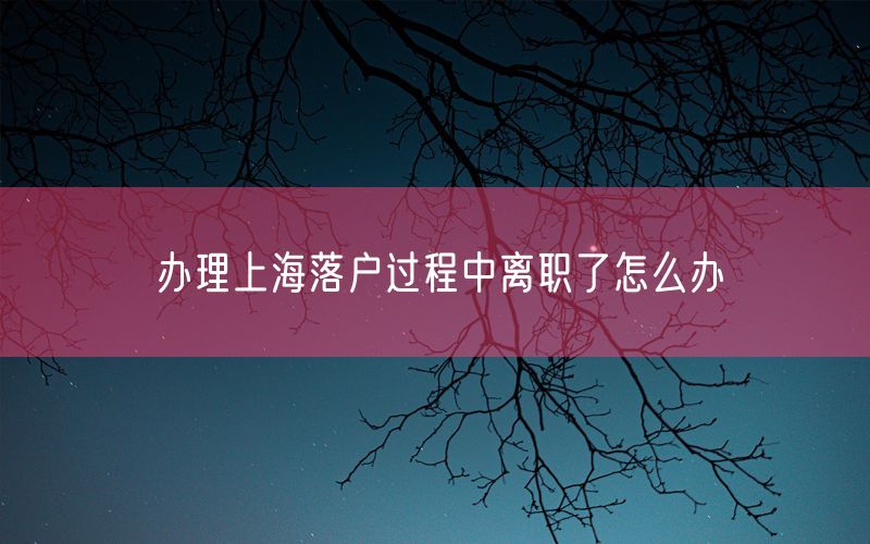 办理上海落户过程中离职了怎么办