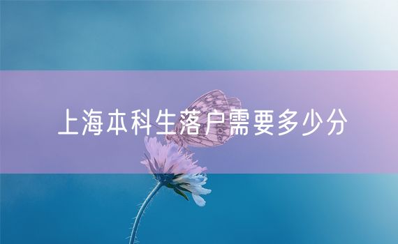 上海本科生落户需要多少分