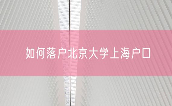 如何落户北京大学上海户口