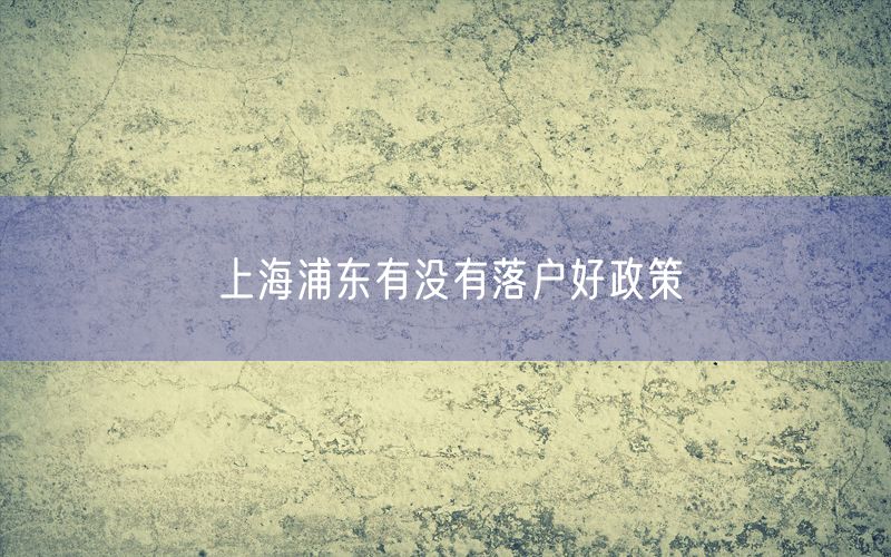 上海浦东有没有落户好政策