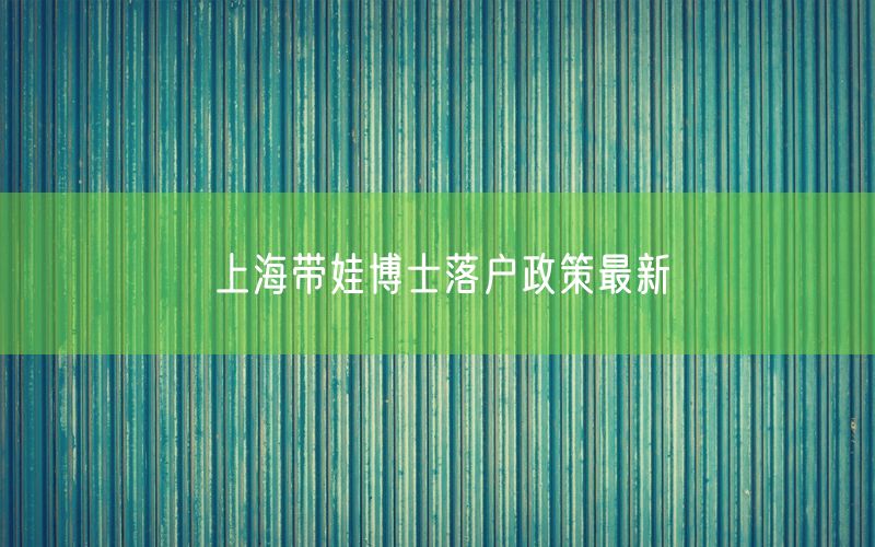 上海带娃博士落户政策最新