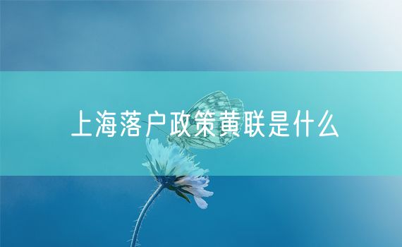 上海落户政策黄联是什么