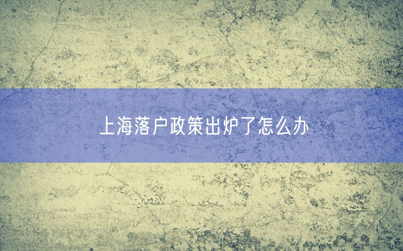 上海落户政策出炉了怎么办