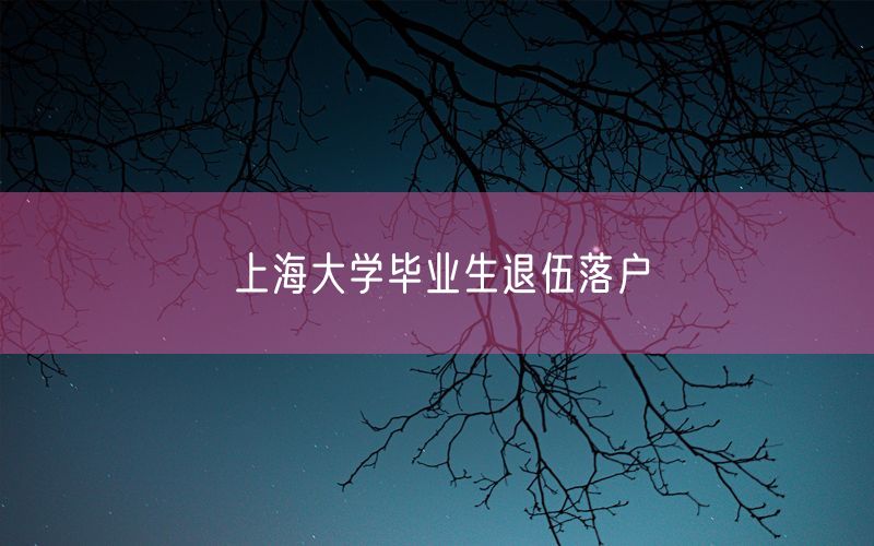 上海大学毕业生退伍落户