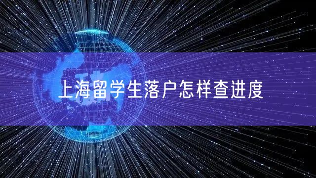 上海留学生落户怎样查进度