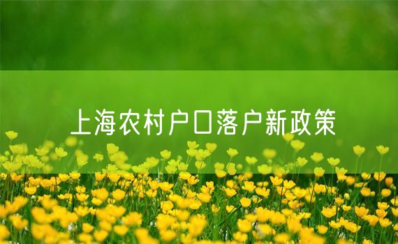 上海农村户口落户新政策