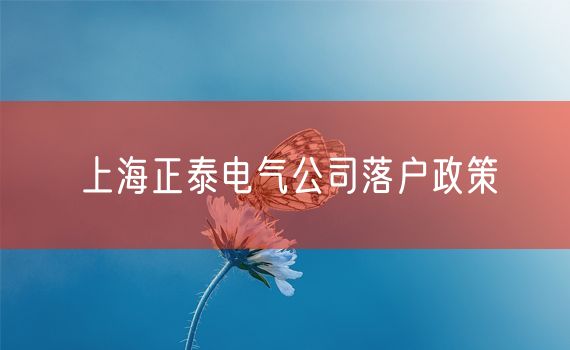 上海正泰电气公司落户政策