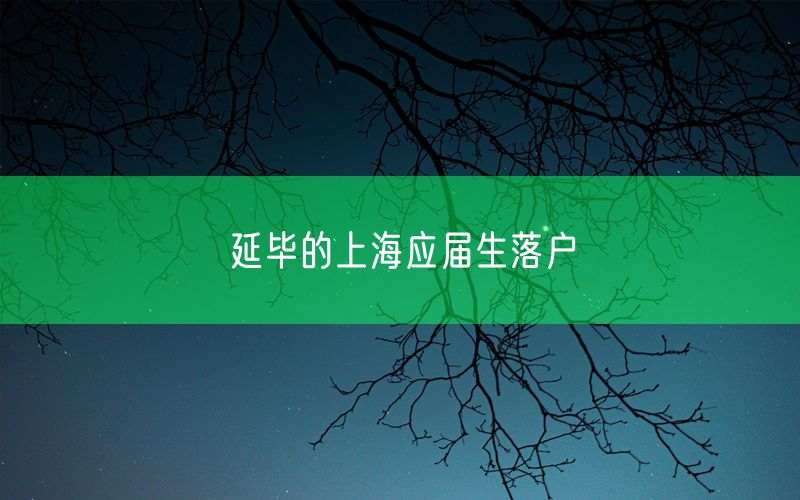 延毕的上海应届生落户