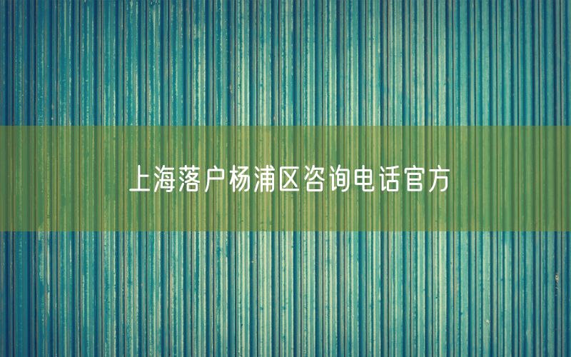 上海落户杨浦区咨询电话官方