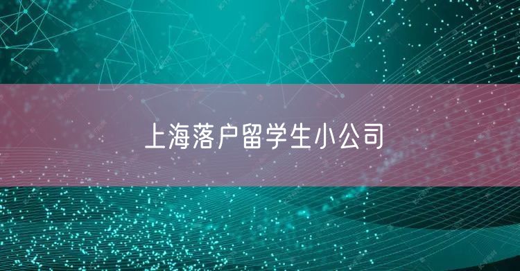 上海落户留学生小公司