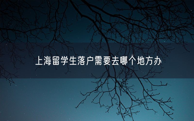 上海留学生落户需要去哪个地方办