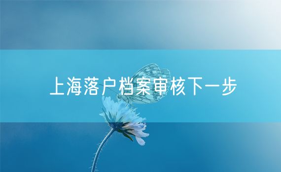 上海落户档案审核下一步