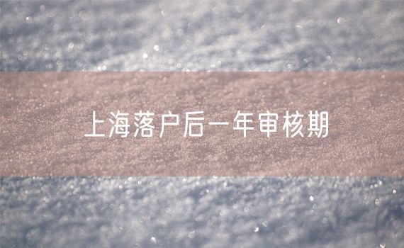 上海落户后一年审核期