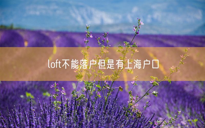 loft不能落户但是有上海户口