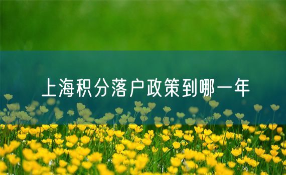 上海积分落户政策到哪一年