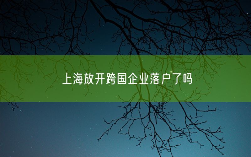 上海放开跨国企业落户了吗