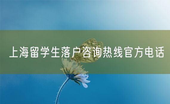 上海留学生落户咨询热线官方电话