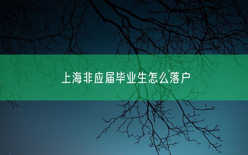 上海非应届毕业生怎么落户