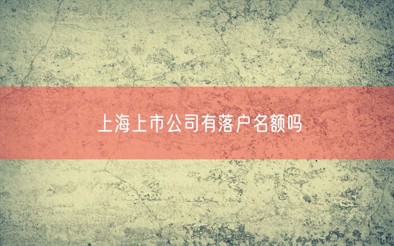 上海上市公司有落户名额吗