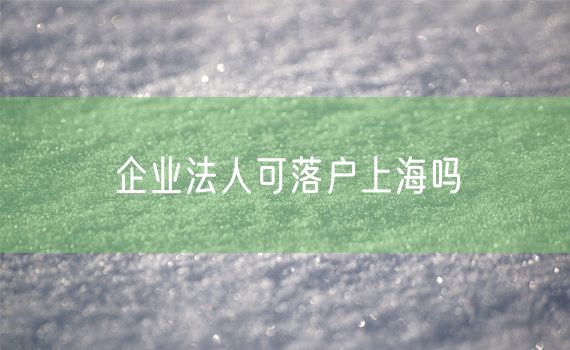 企业法人可落户上海吗