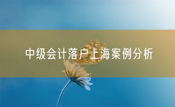 中级会计落户上海案例分析