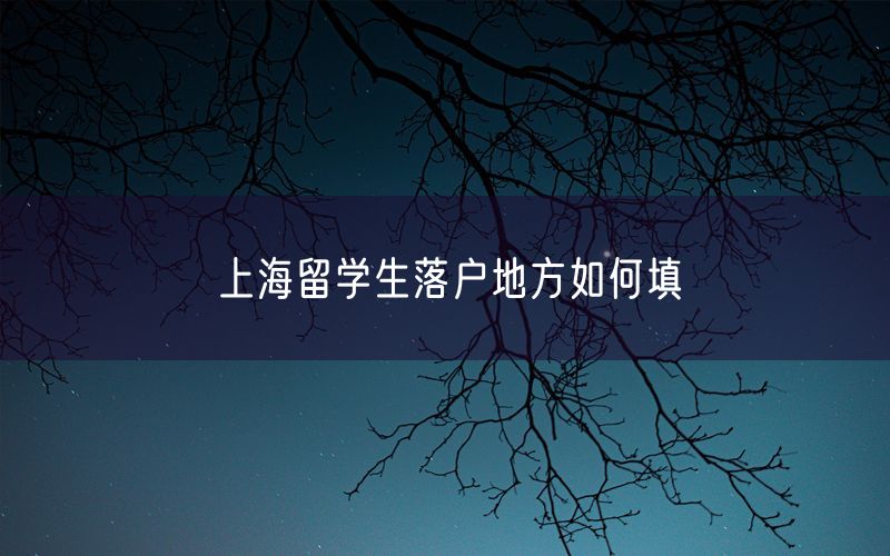 上海留学生落户地方如何填