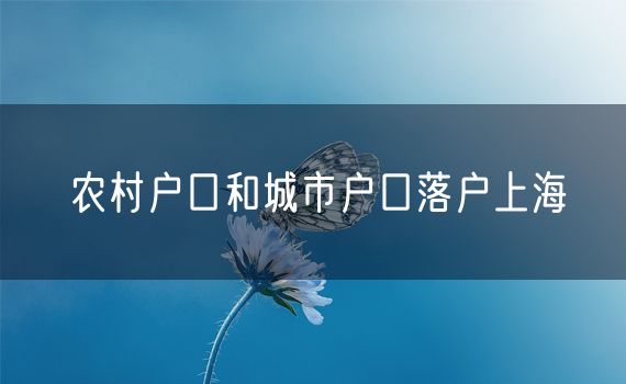 农村户口和城市户口落户上海