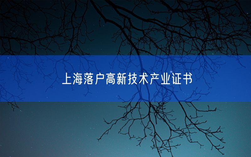 上海落户高新技术产业证书