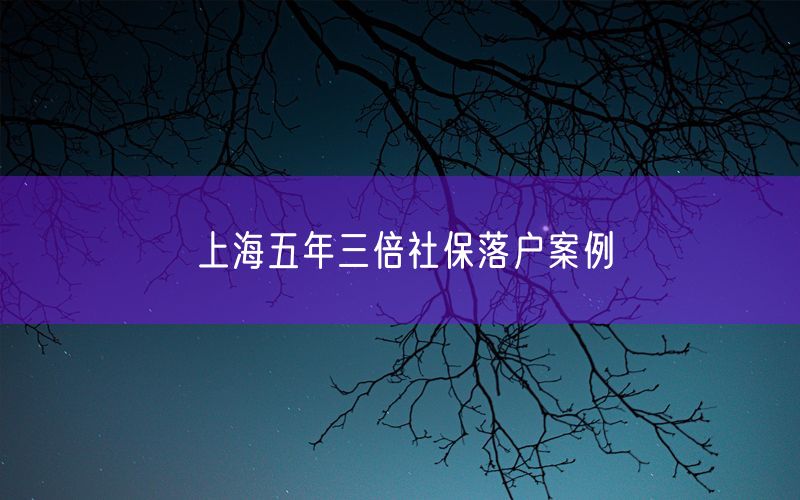 上海五年三倍社保落户案例