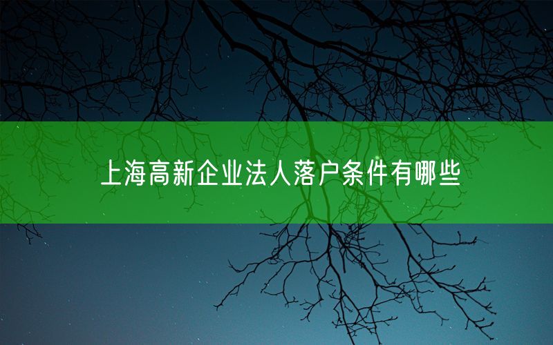 上海高新企业法人落户条件有哪些