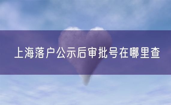 上海落户公示后审批号在哪里查