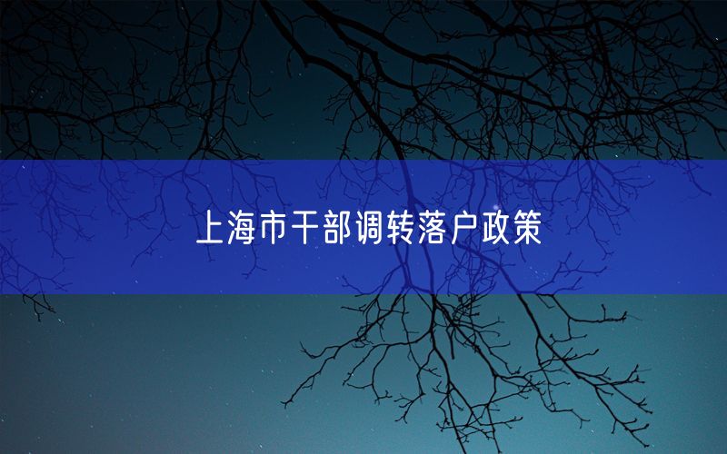 上海市干部调转落户政策