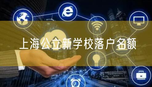 上海公立新学校落户名额